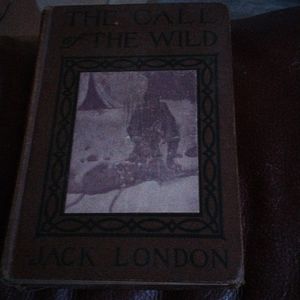 Jack London call of the wild 1906 first edition.